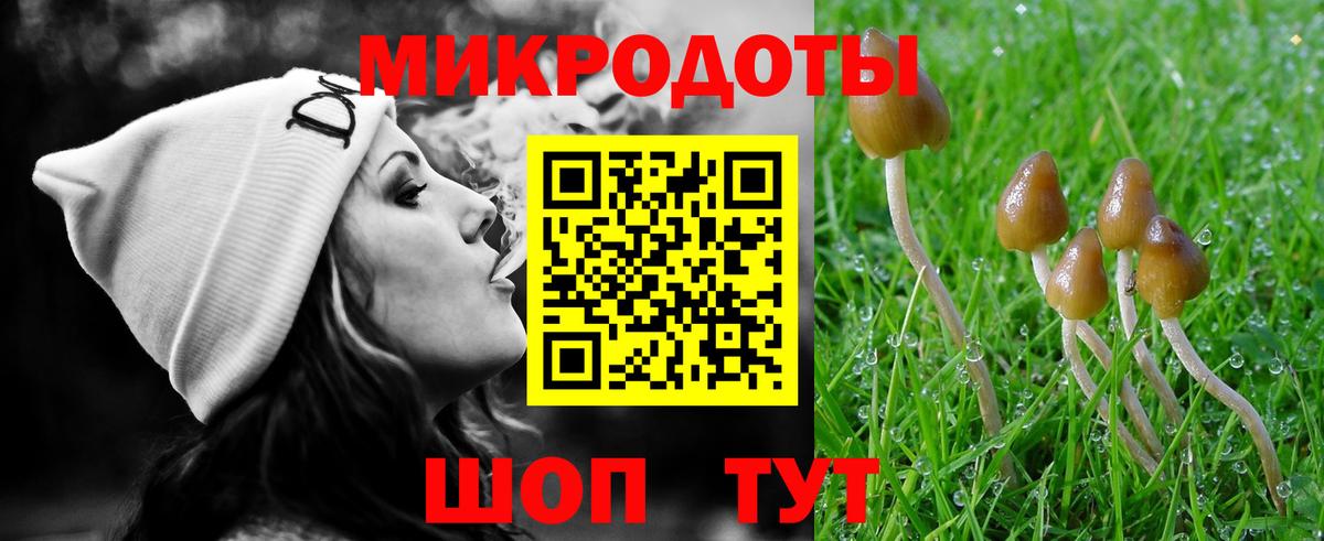 Медногорск  Псилоцибиновые грибы MAGIC MUSHROOMS  купить наркоту  Псилоцибиновые грибы Psilocybine cubensis  Вход с VPN 